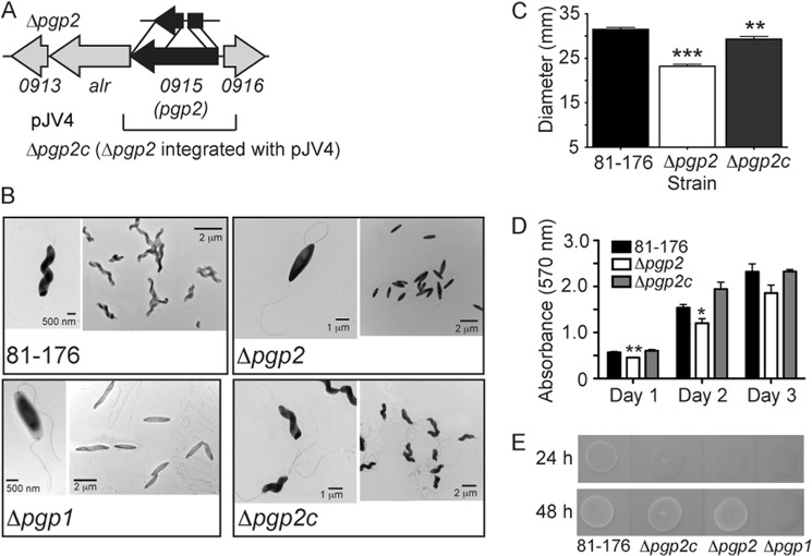 FIGURE 1.