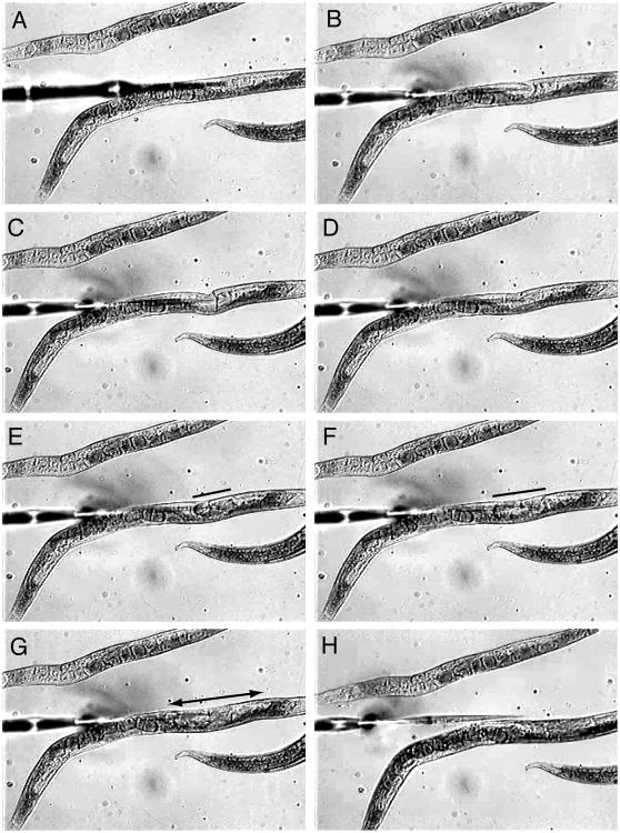 Figure 26.3.3