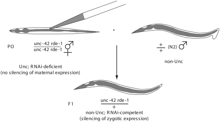 Figure 26.3.4