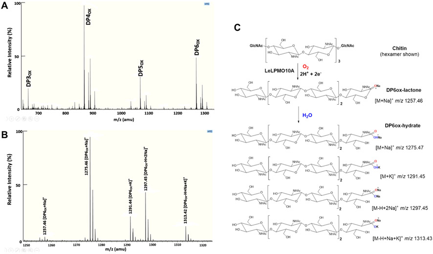 Figure 4.