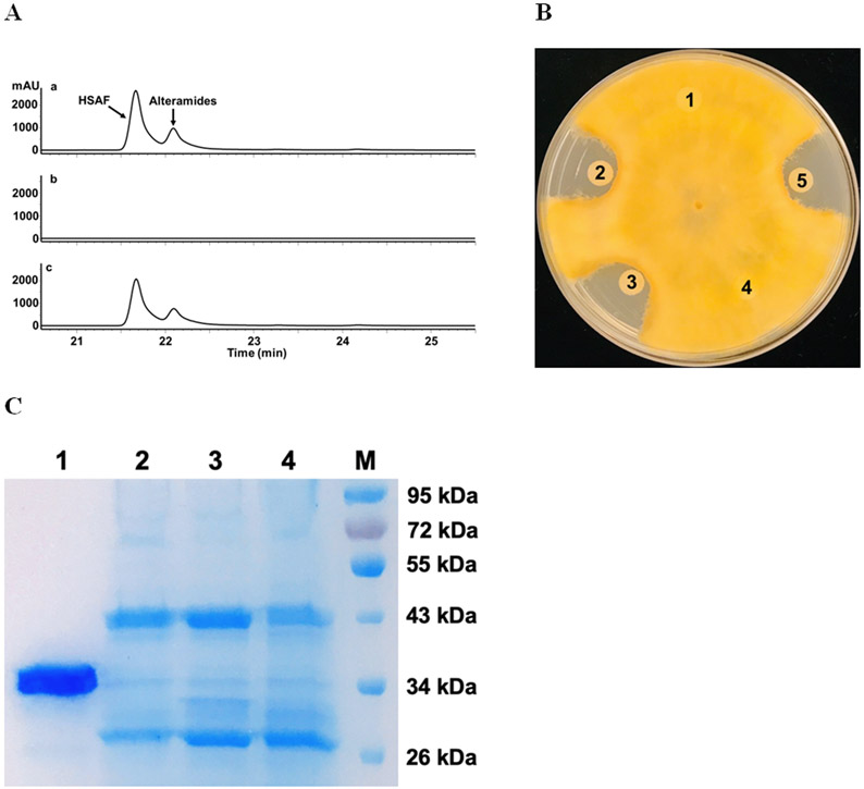 Figure 5.