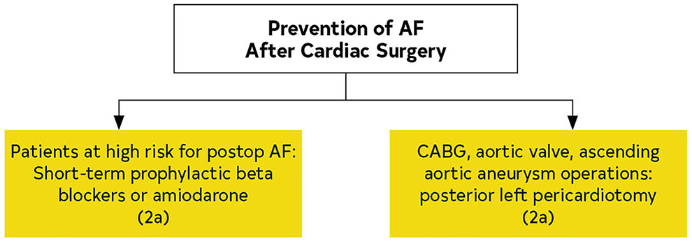 FIGURE 25