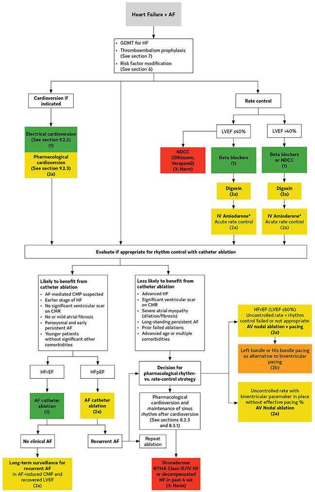 FIGURE 24