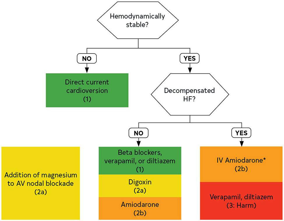 FIGURE 17