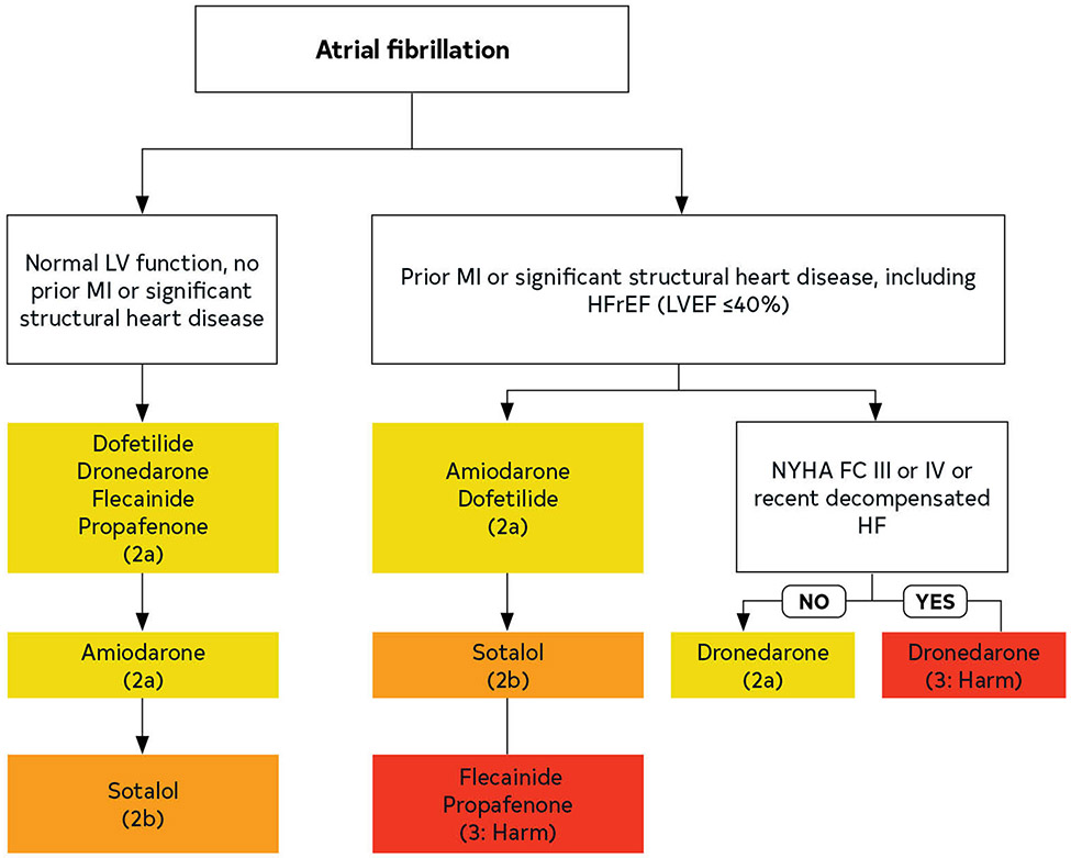 FIGURE 23