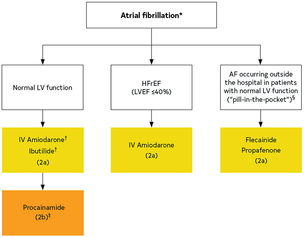 FIGURE 22