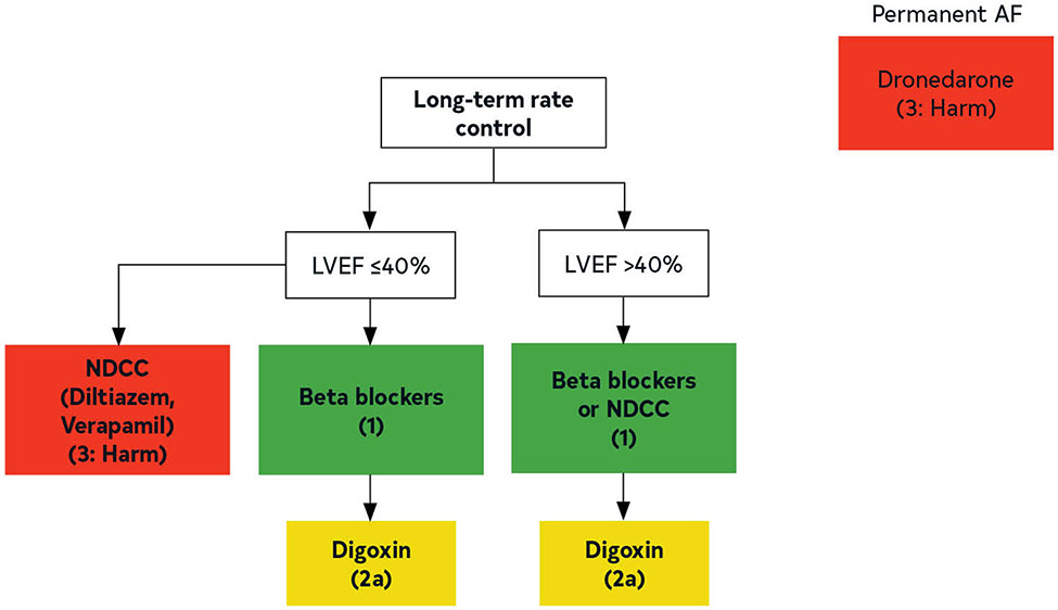 FIGURE 18