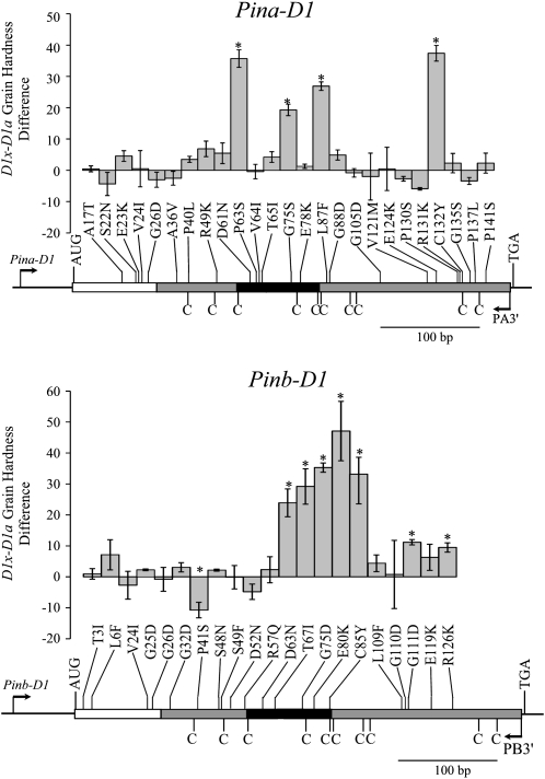 Figure 3.—