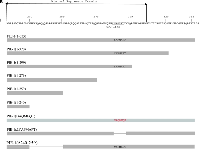 Figure 1.—