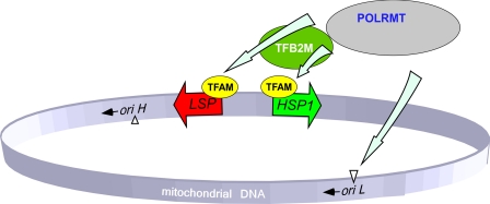 FIGURE 3.