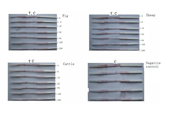 Figure 15