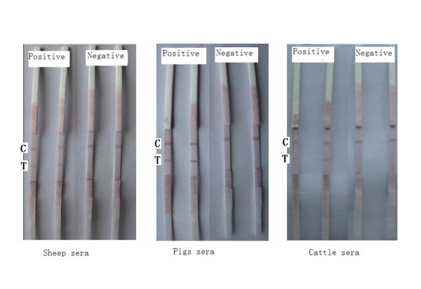 Figure 16