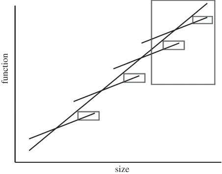 Figure 3.