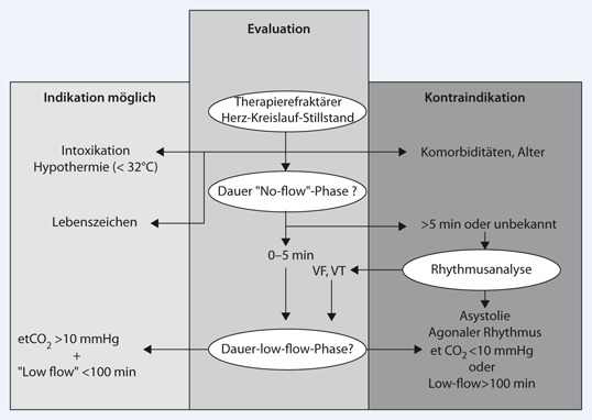 graphic file with name 398_2012_984_Fig4_HTML.jpg
