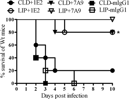 Fig 5