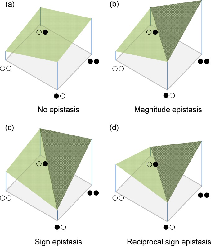 FIG 1