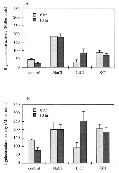 FIG. 6