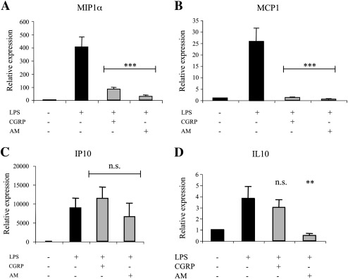 Fig. 7