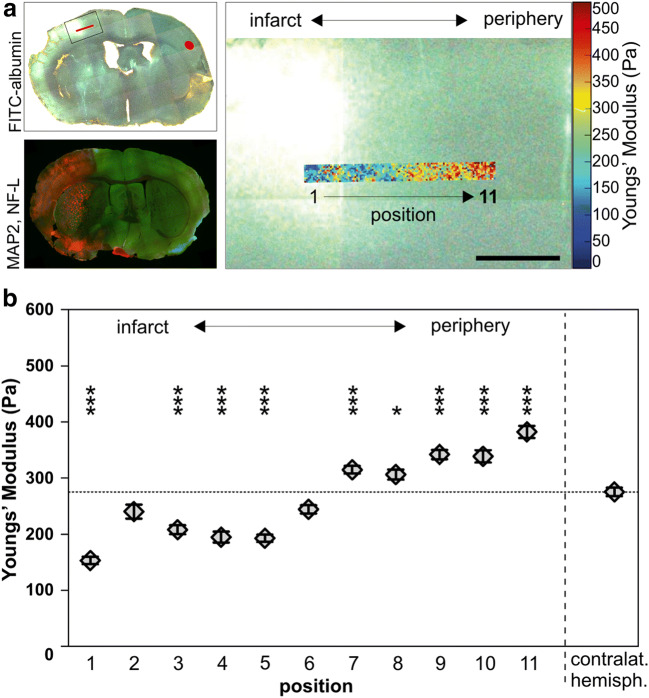 Fig. 6