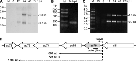 FIG. 2.