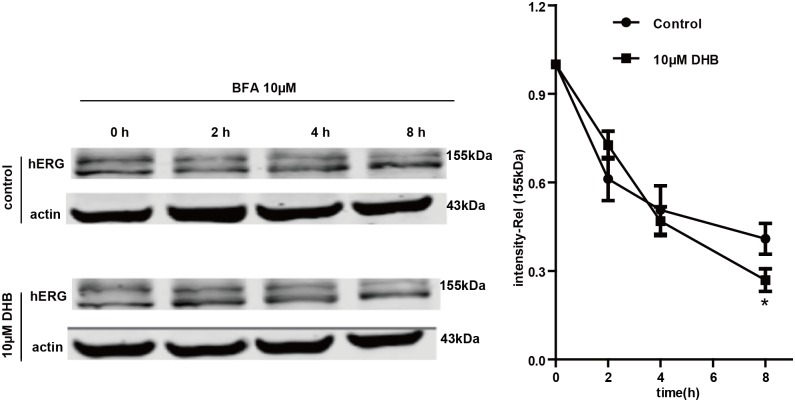 Fig 9