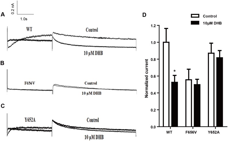 Fig 5