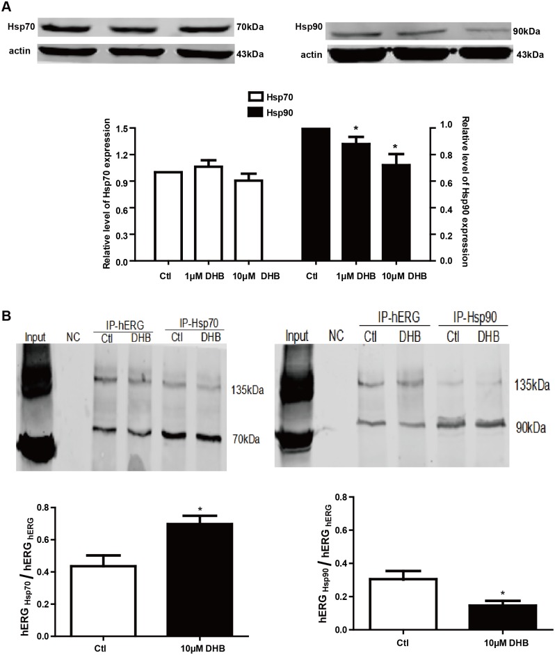 Fig 7