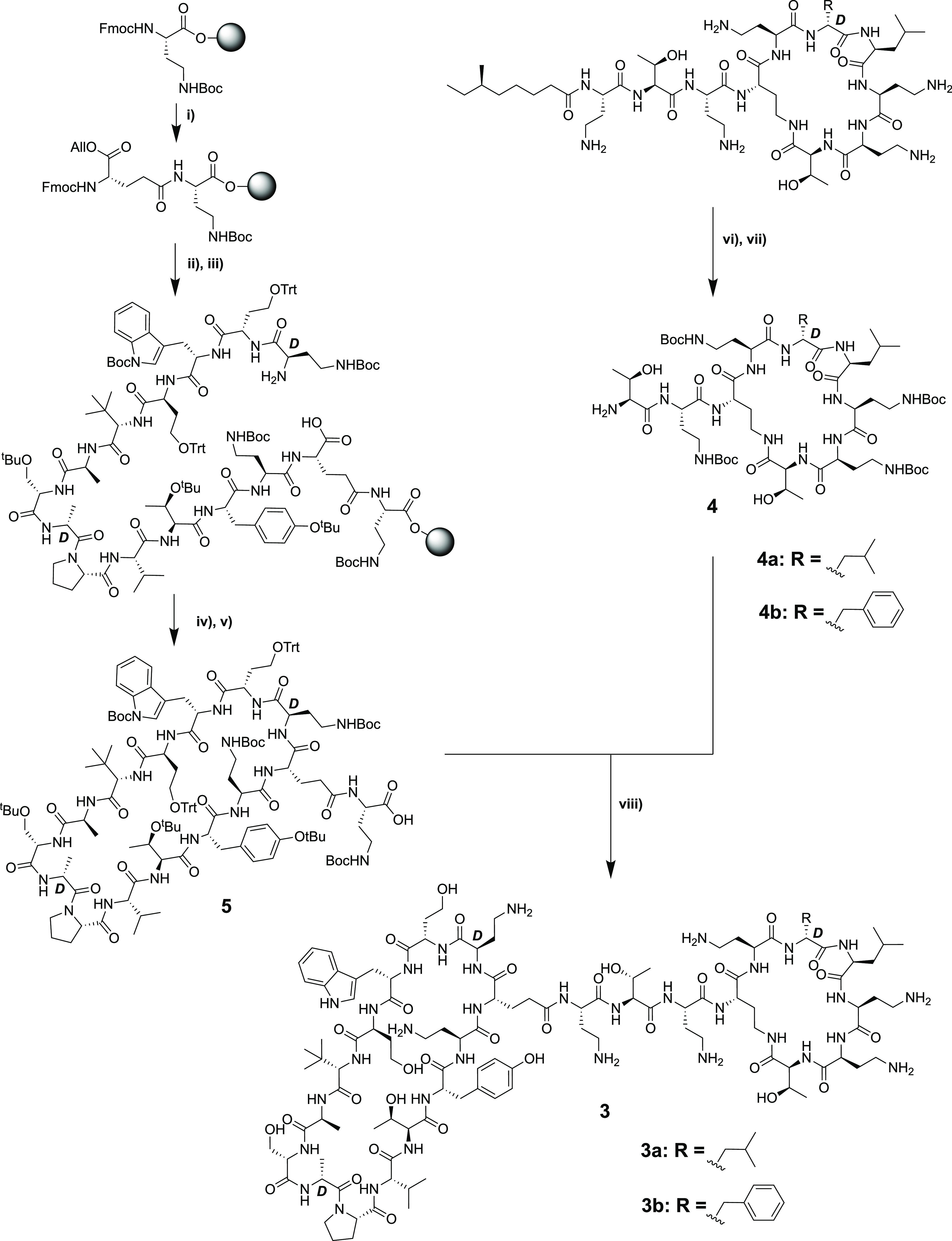 Scheme 2