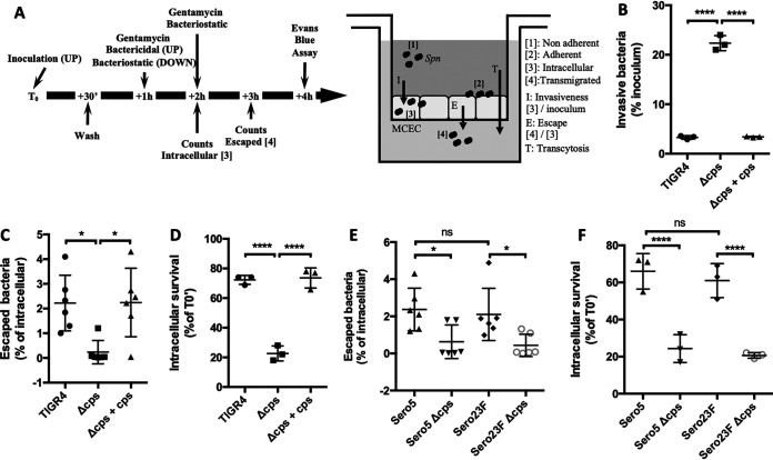 FIG 1