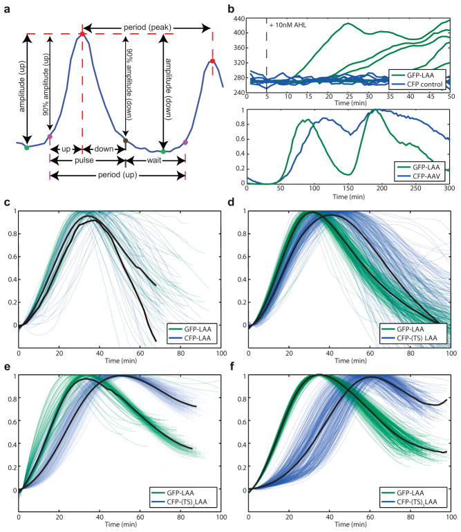 Extended Data Fig. 1