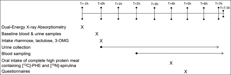 Figure 2: