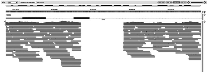 UOG-24911-FIG-0001-b