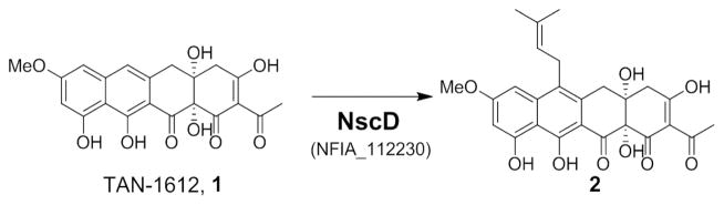 Scheme 1