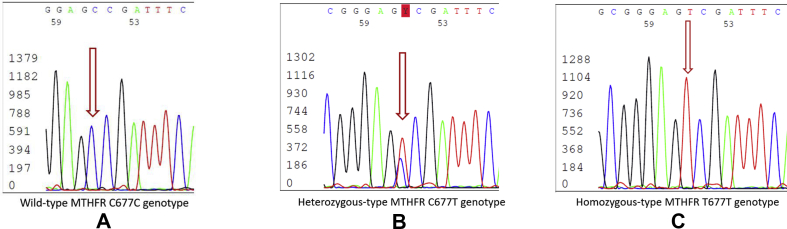 Fig. 1