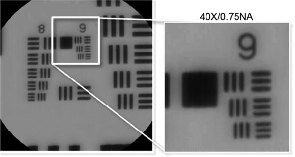 Fig. 13