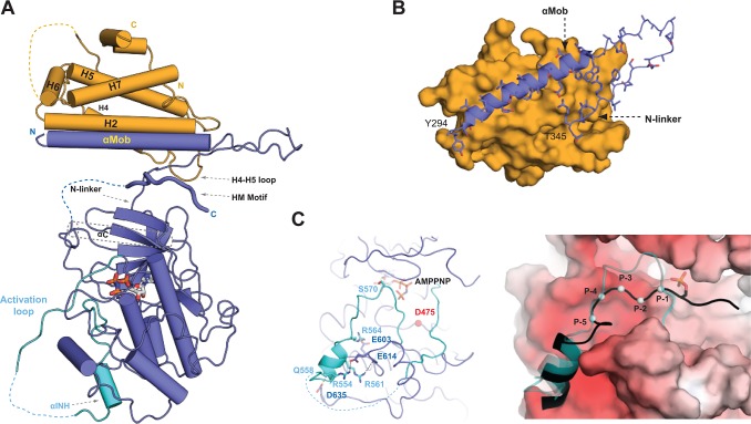 Fig 2