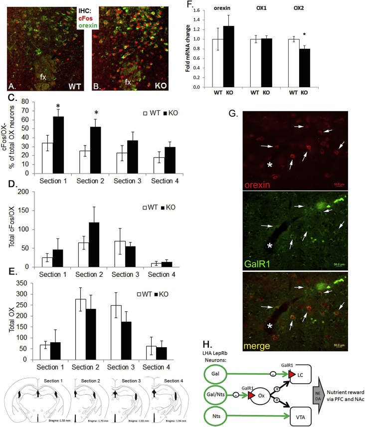 Figure 6