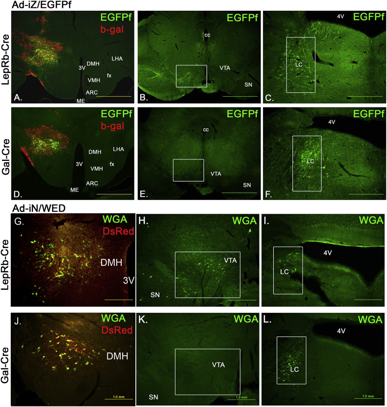 Figure 4