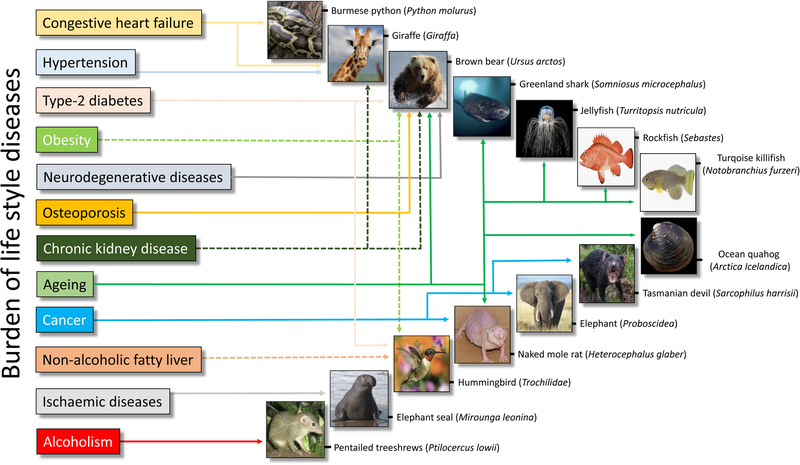 Figure 2: