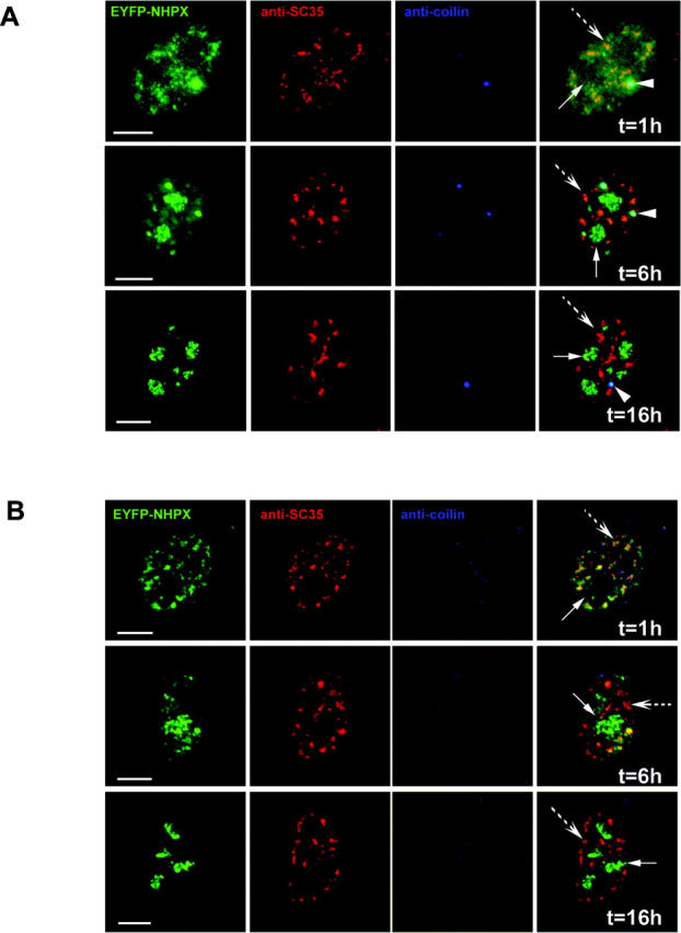 Figure 3.