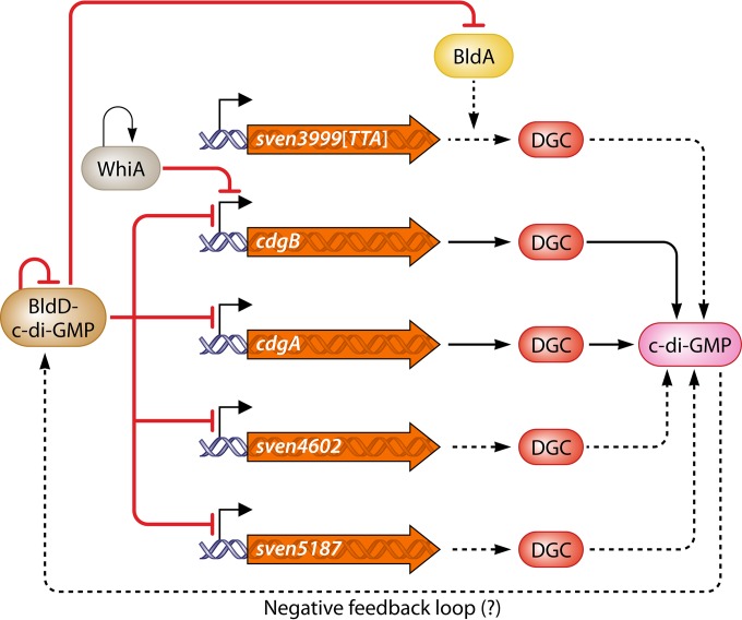 FIG 3