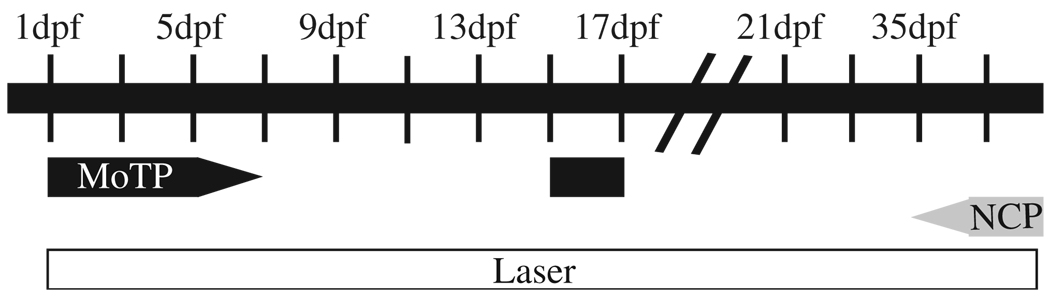 FIG. 6