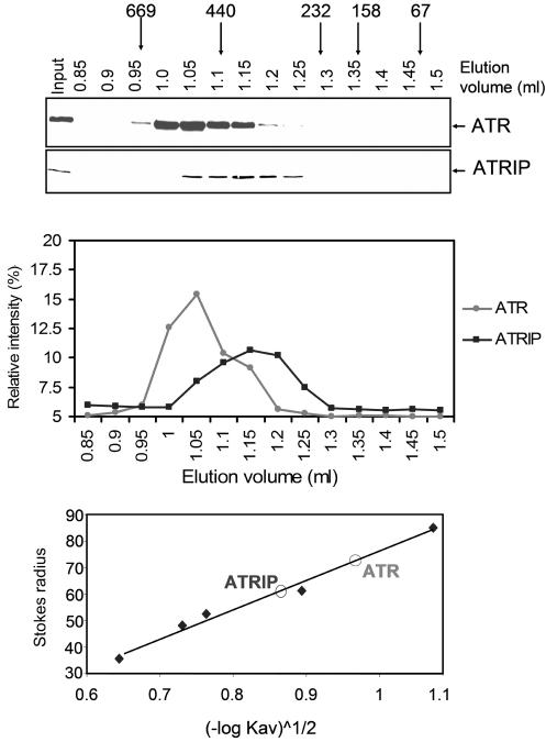 FIG. 1.