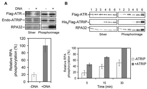 FIG. 7.