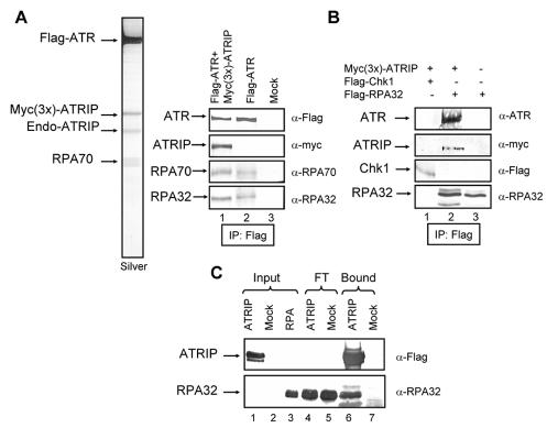 FIG. 5.