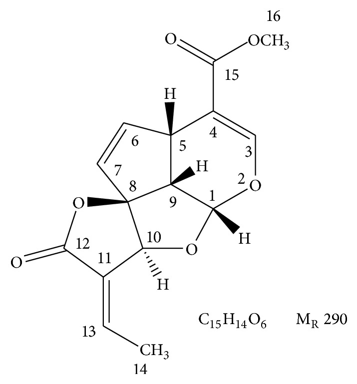 Figure 6