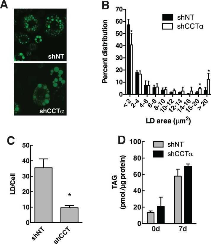 FIGURE 6: