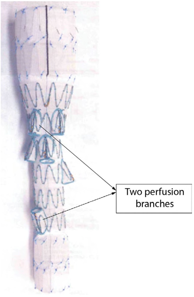 Figure 1.