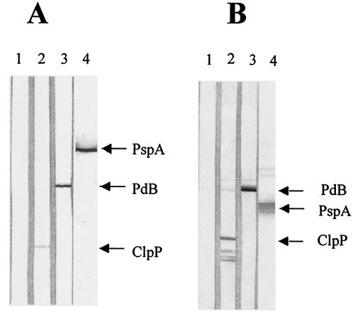 FIG. 5.