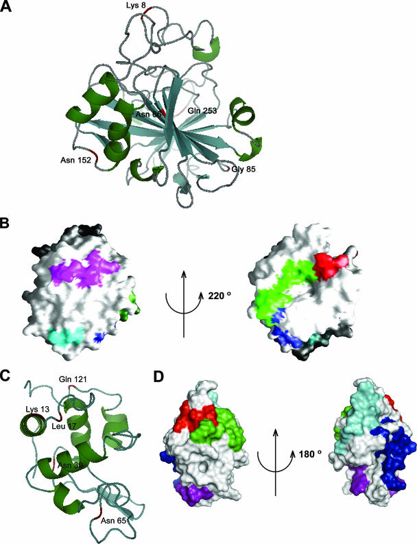 FIG. 6.